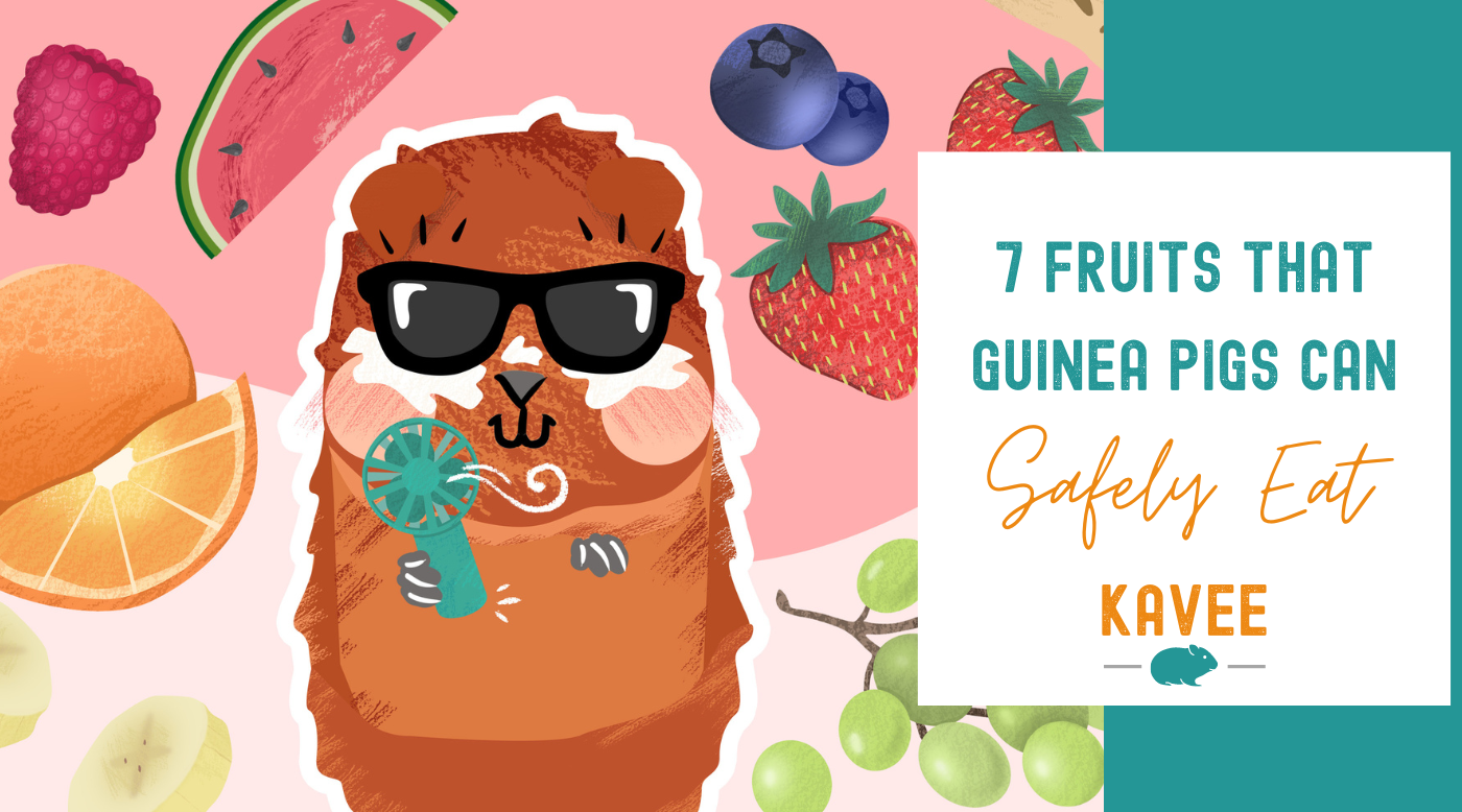 7 Fruits That Guinea Pigs Can Safely Eat - Homemade Fruits For Guinea Pigs