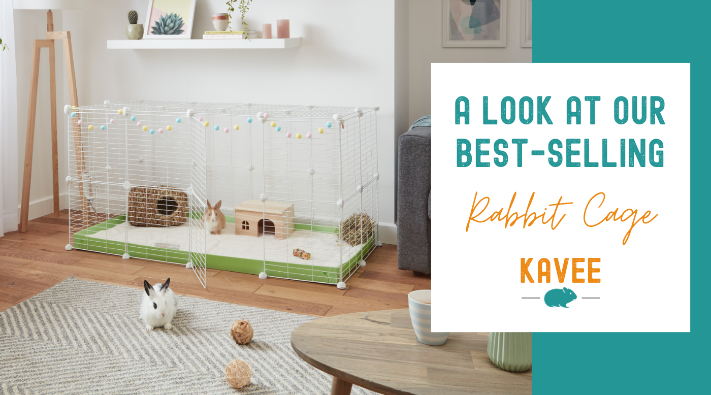 Why Choose Kavee s Best Selling Indoor Rabbit Cage
