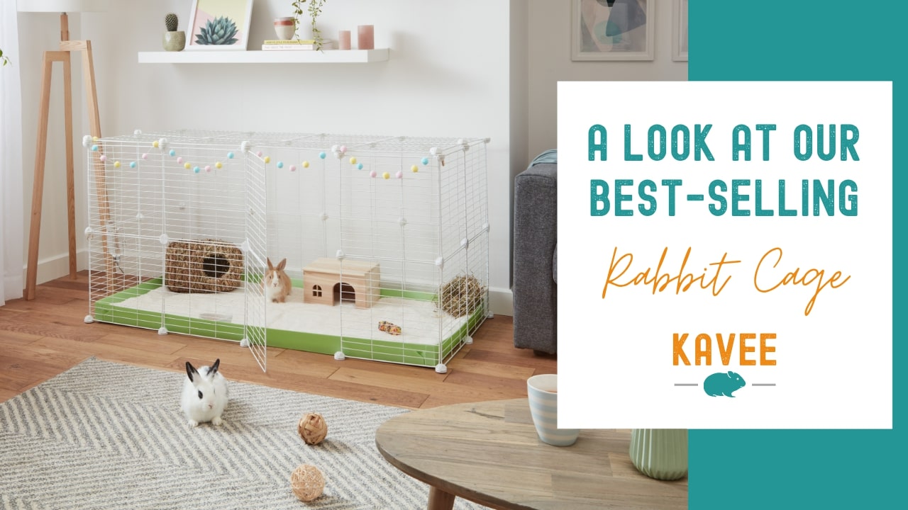 A closer look at our bestselling indoor rabbit cage