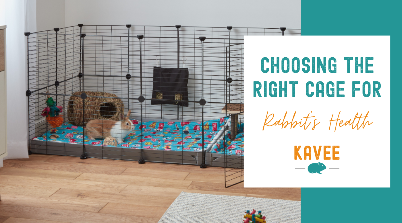 Health First Why the Right Rabbit Cage Matters