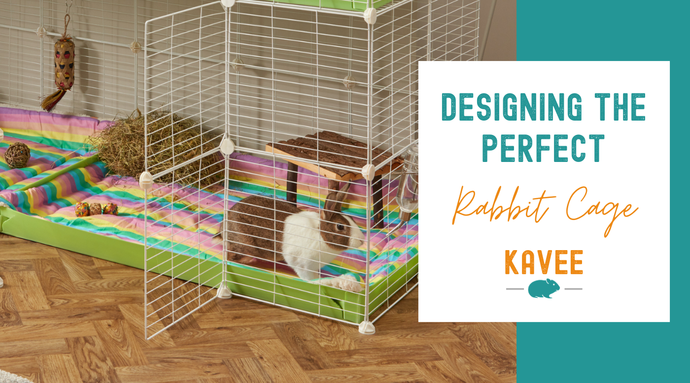 Designing the Perfect Environment Inside Your Rabbit Cage