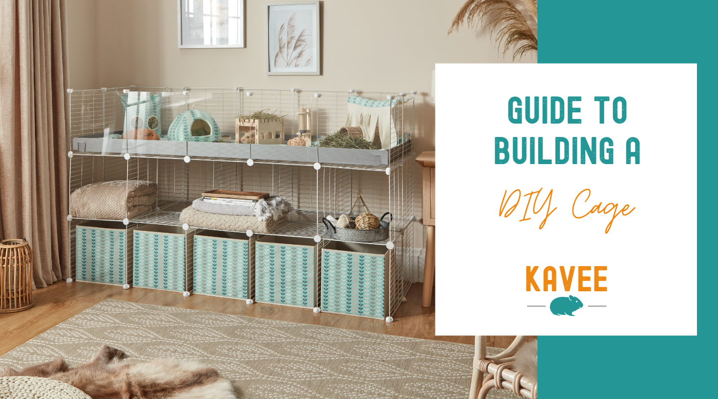 Guide to Building a DIY C C Cage Kavee