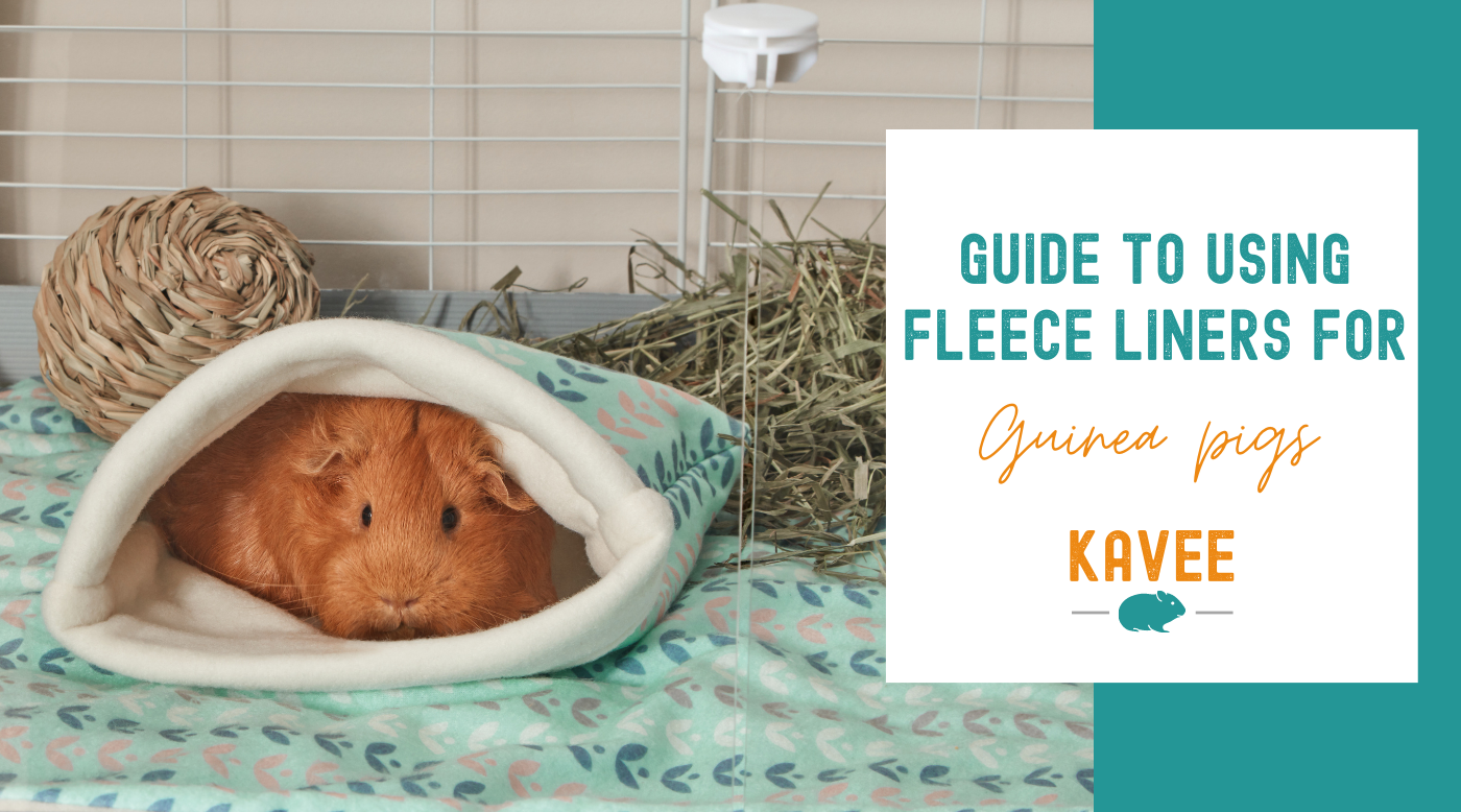 Guinea pig fleece bed 2025