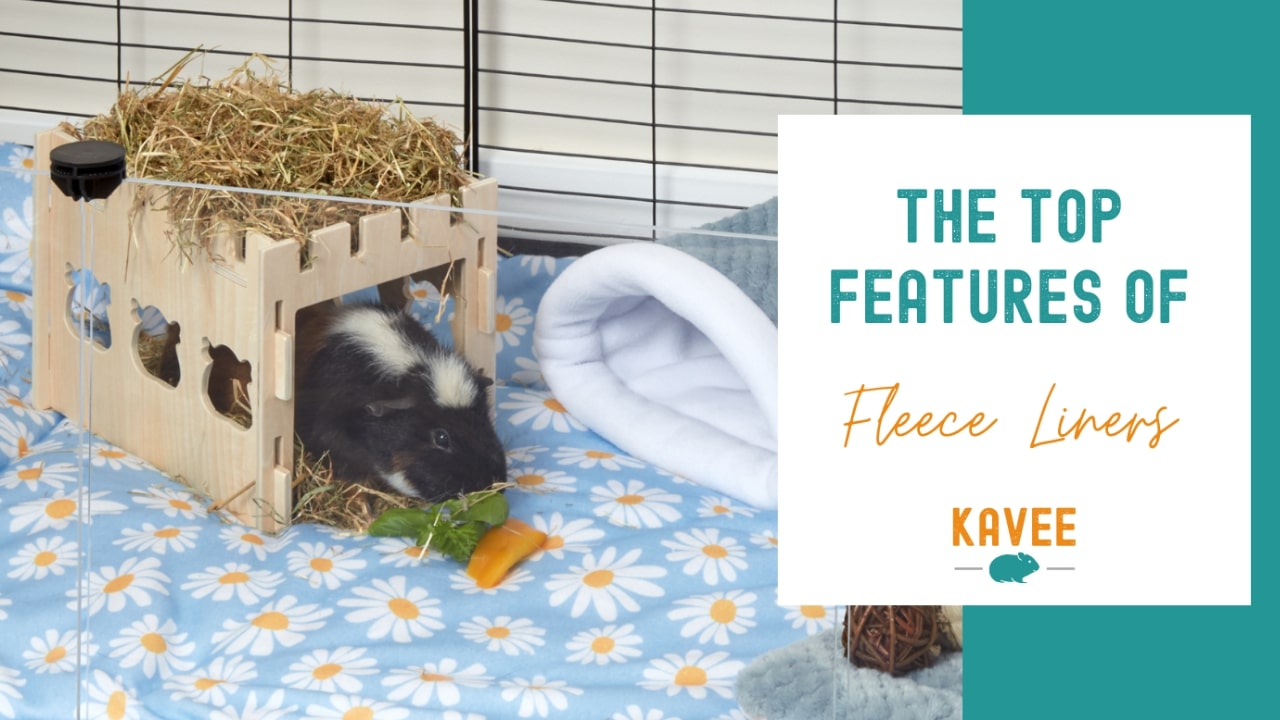 Photo inspiration: The Top Features Of Fleece Liners Photo Inspiration