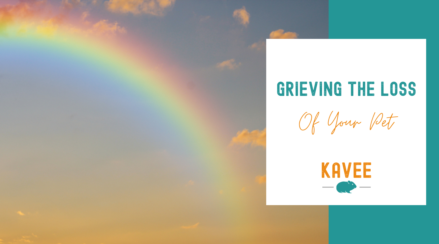Grieving The Loss of Your Pet