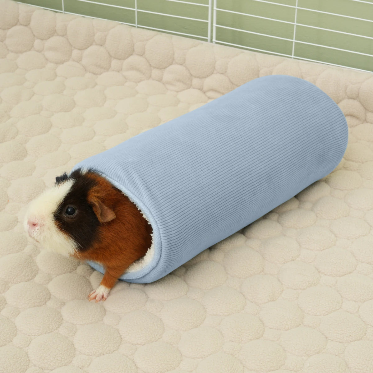 The Tunnel in Dusky Blue, in a guinea pig habitat