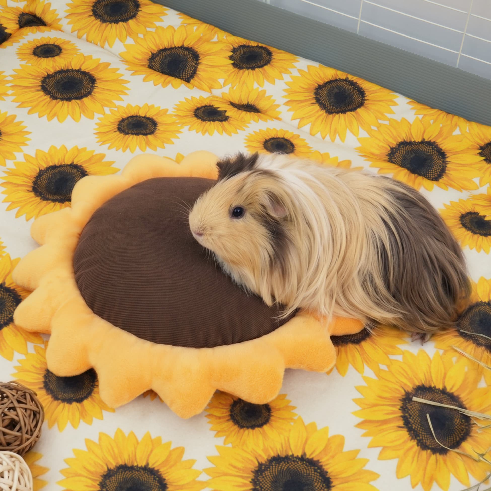The Sunflower Bed | Sunflower Collection
