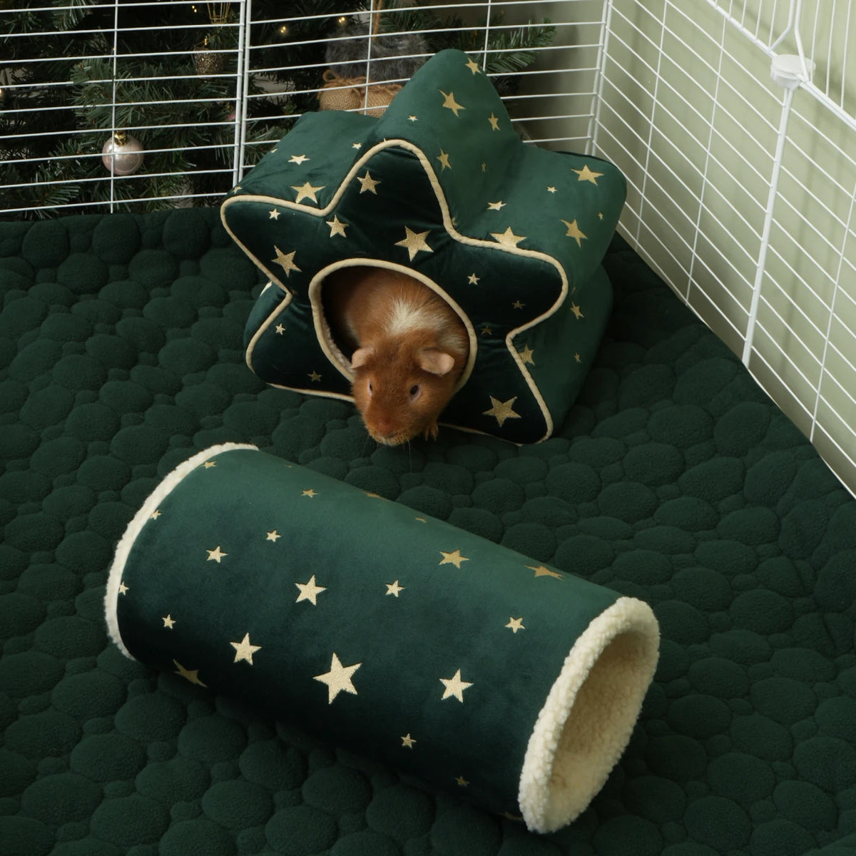 The Christmas Star Hide, in a guinea pig habitat