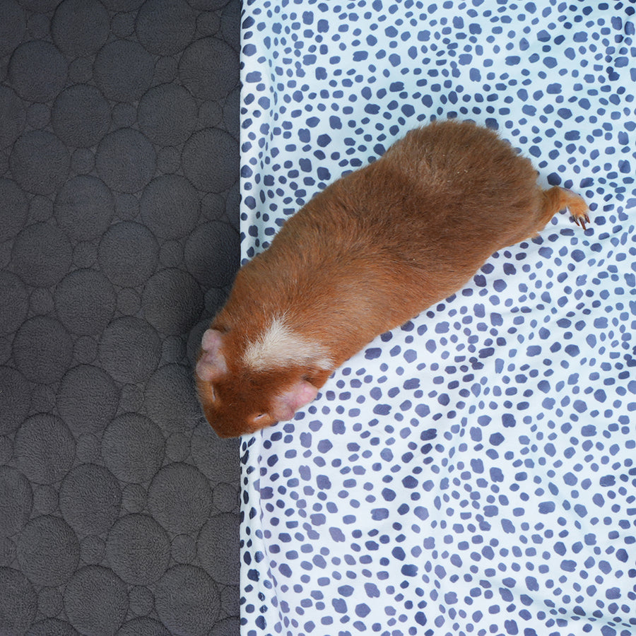 Plush Fleece Liner for Guinea Pigs | Dalmatian Collection