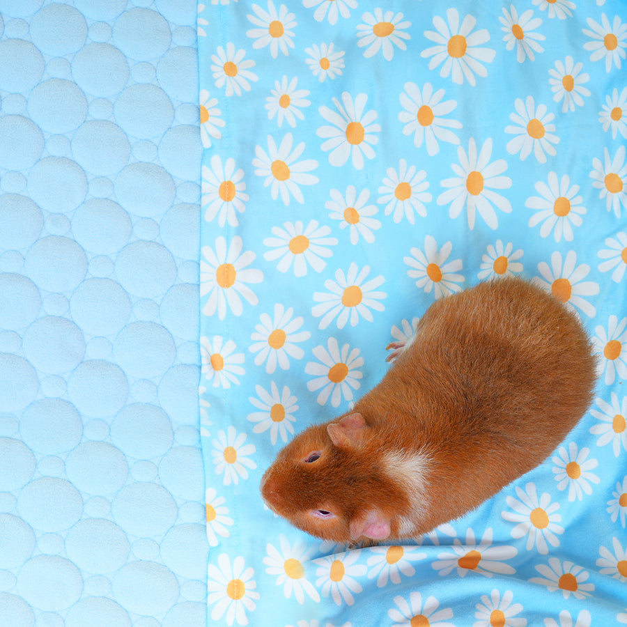 Plush Fleece Liner for Guinea Pigs | Daisy Collection