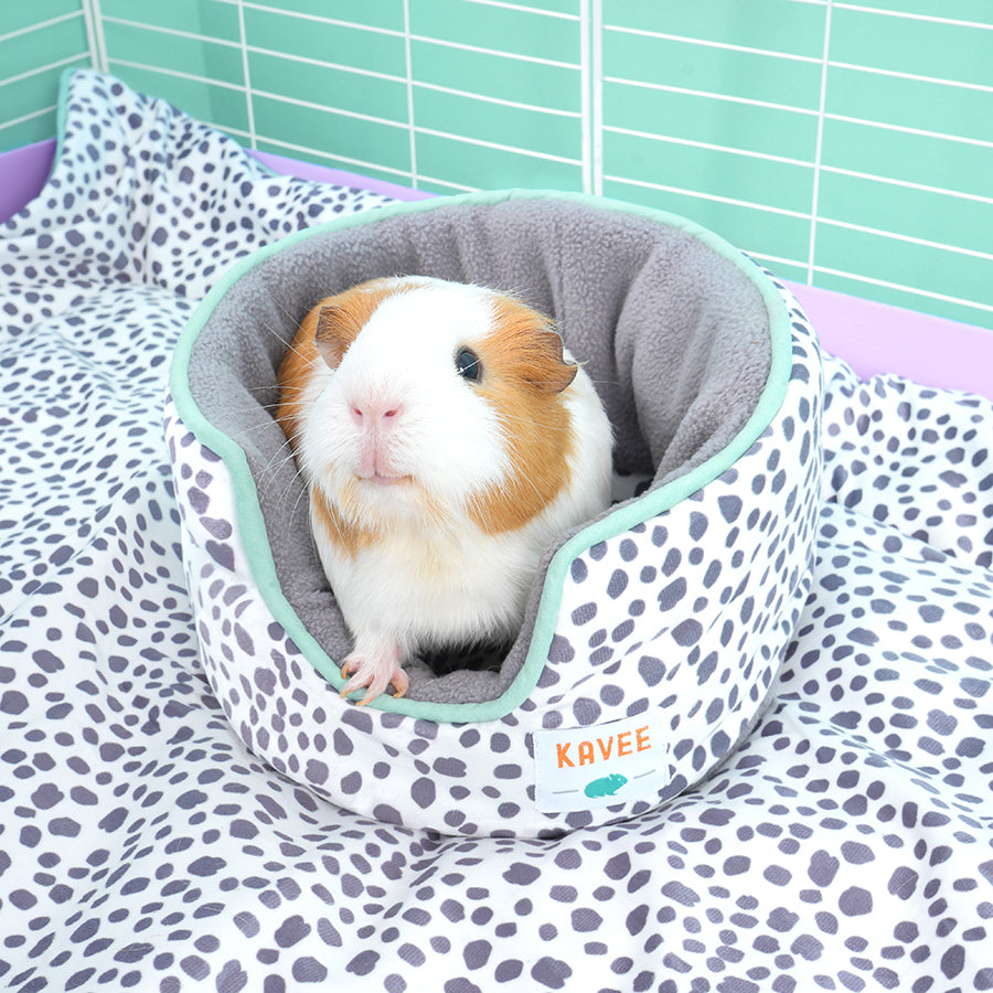 Dalmatian Guinea Pig Cuddle Cup