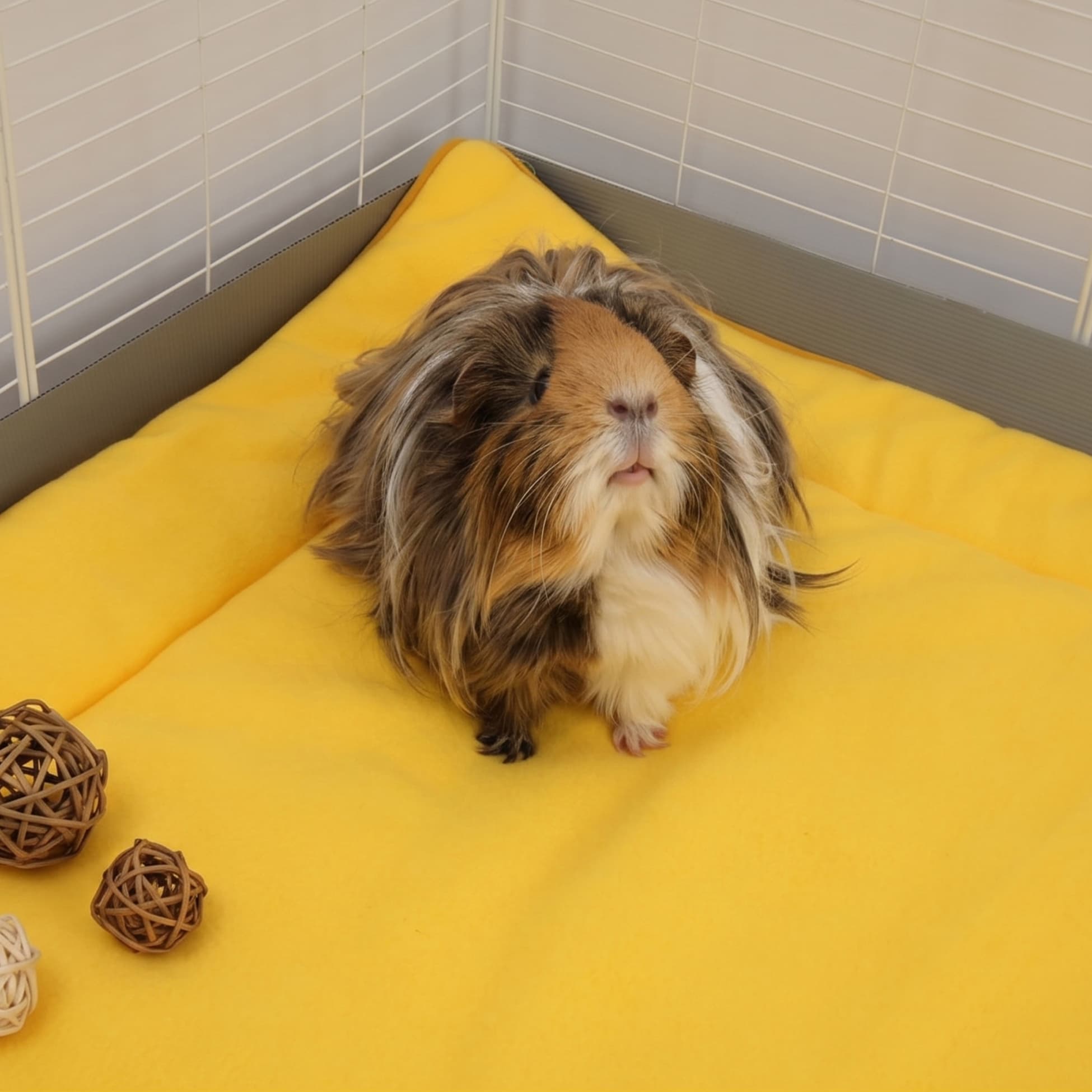 Set of 2 Plush Fleece Liner for Guinea Pigs | Sunflower Collection