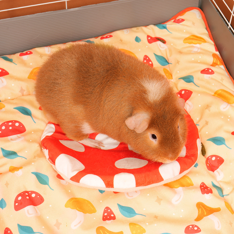 Guinea Pig Hide | Mushroom