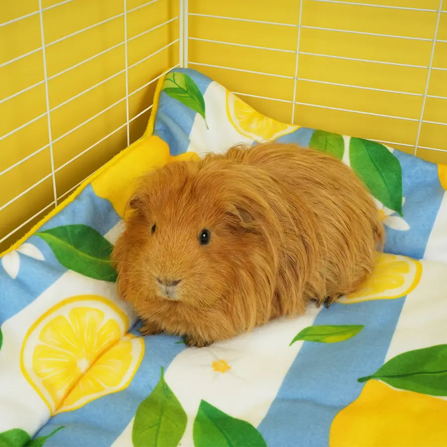 Plush Fleece Liner in Lemon Amalfi print inside a C&C guinea pig cage