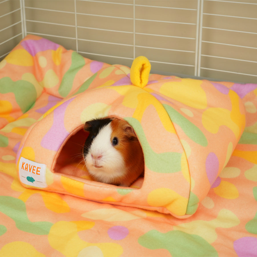 Guinea Pig Hide | Pigcasso Collection