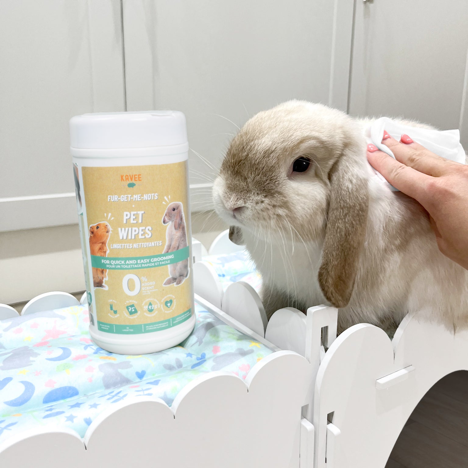 Wipes for Guinea Pigs and Rabbits