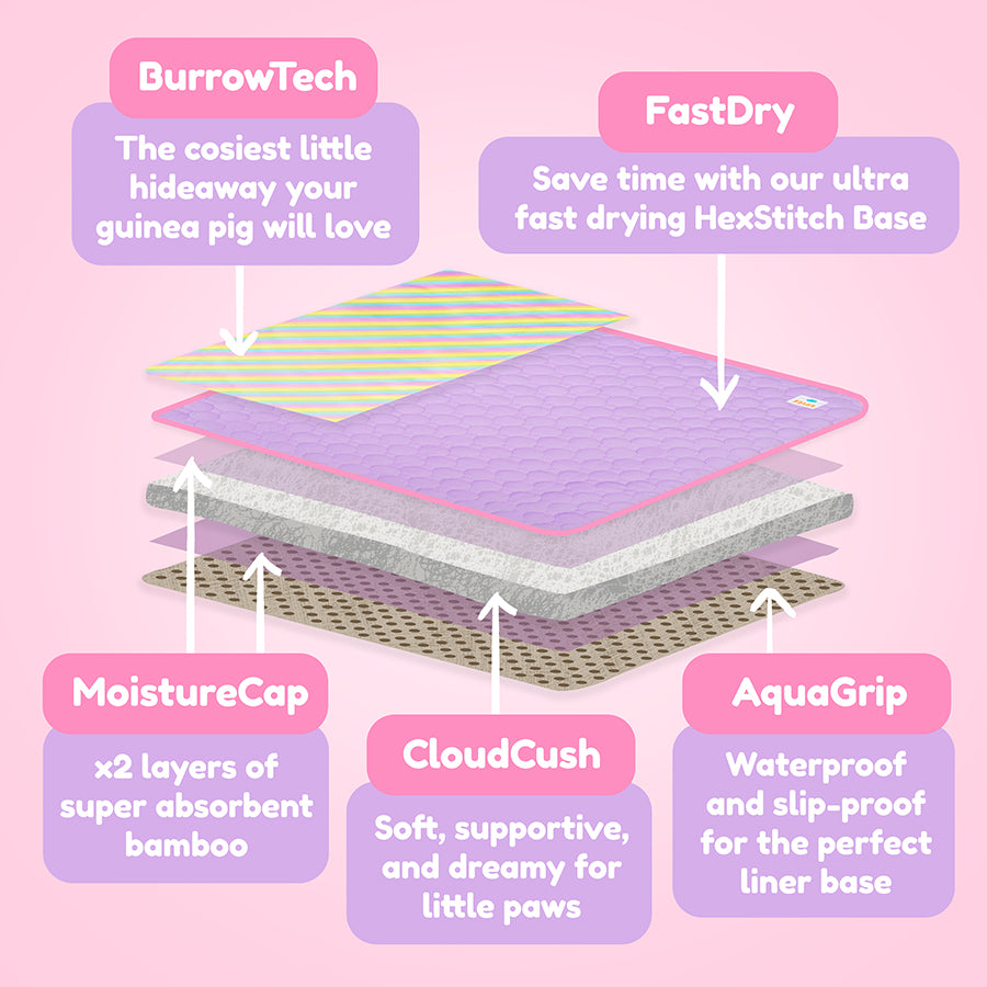 Plush Fleece Liner for Guinea Pigs | Rainbow Collection