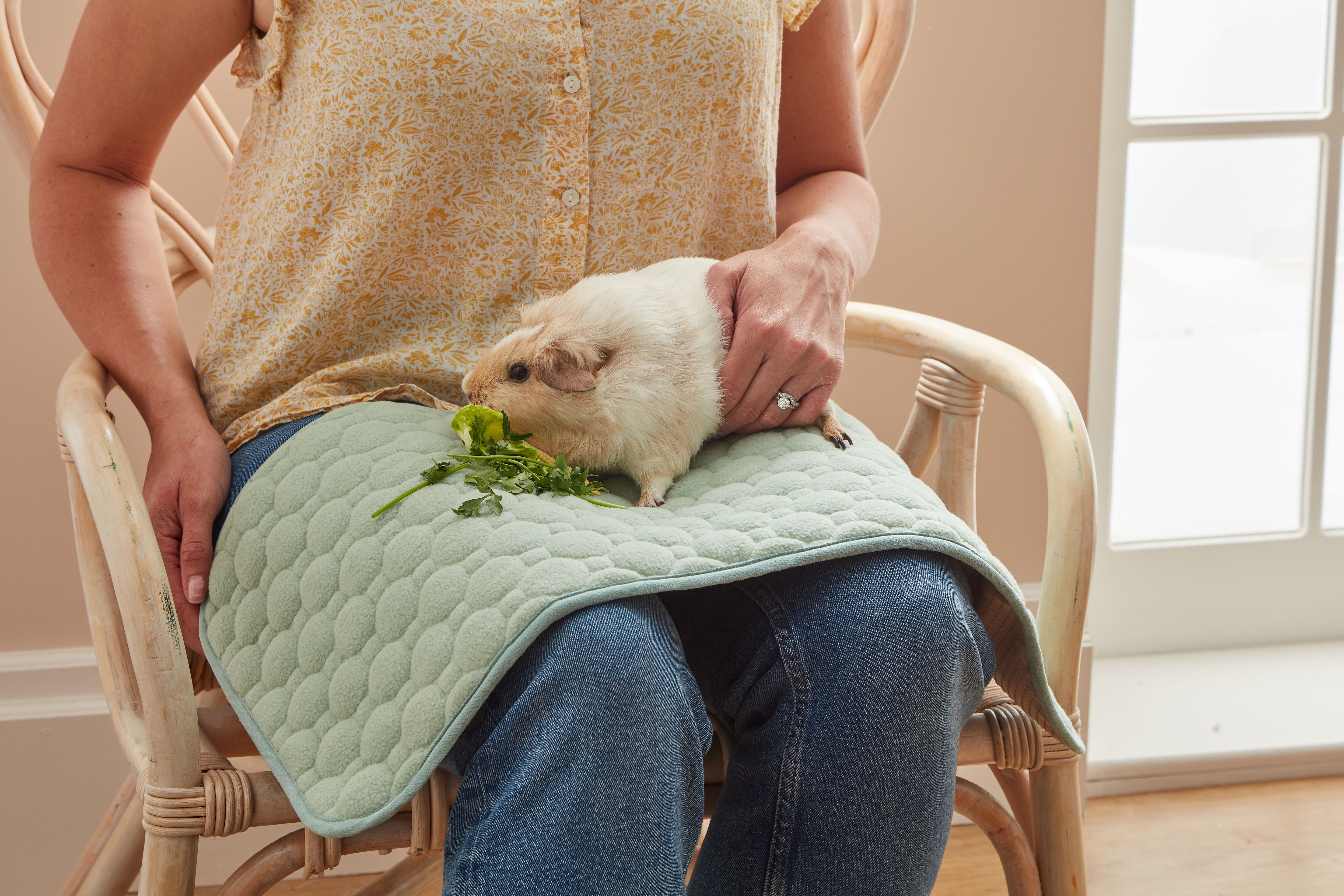 Potty-Proof Pads | Lap Liners for Guinea Pigs and Rabbits (Set of 3)