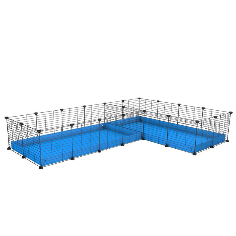 A 8x2 L-shape C&C cage with divider for guinea pig fighting or quarantine with blue coroplast from brand kavee