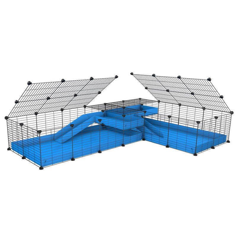 A 8x2 L-shape C&C cage with lid divider loft ramp for guinea pig fighting or quarantine with blue coroplast from brand kavee