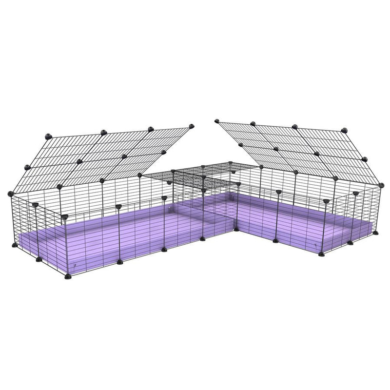 A 8x2 L-shape C&C cage with lid divider for guinea pig fighting or quarantine with lilac coroplast from brand kavee
