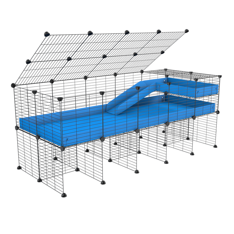 A 2x5 C and C guinea pig cage with stand loft ramp lid small size meshing safe grids blue correx sold in USA