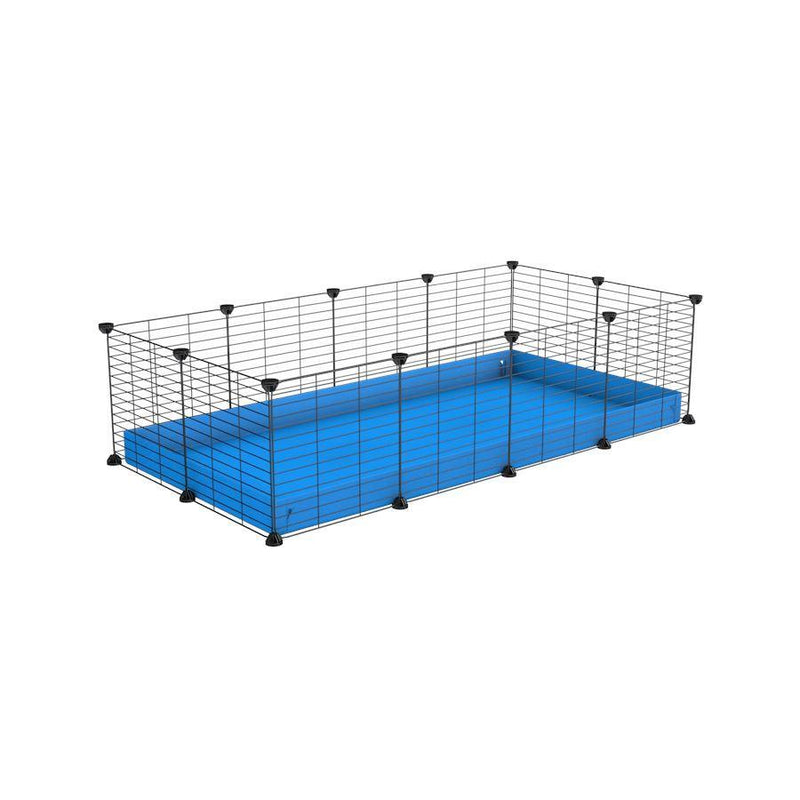 A cheap 4x2 C&C cage for guinea pig with blue coroplast and baby grids from brand kavee