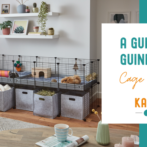 Guinea pig cage for 4 outlet
