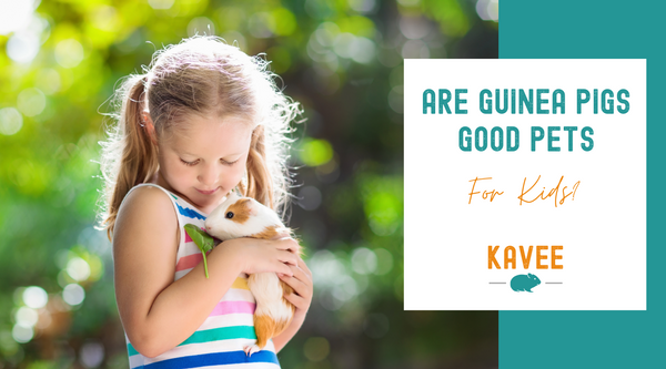 Are guinea pigs good pets for children blog