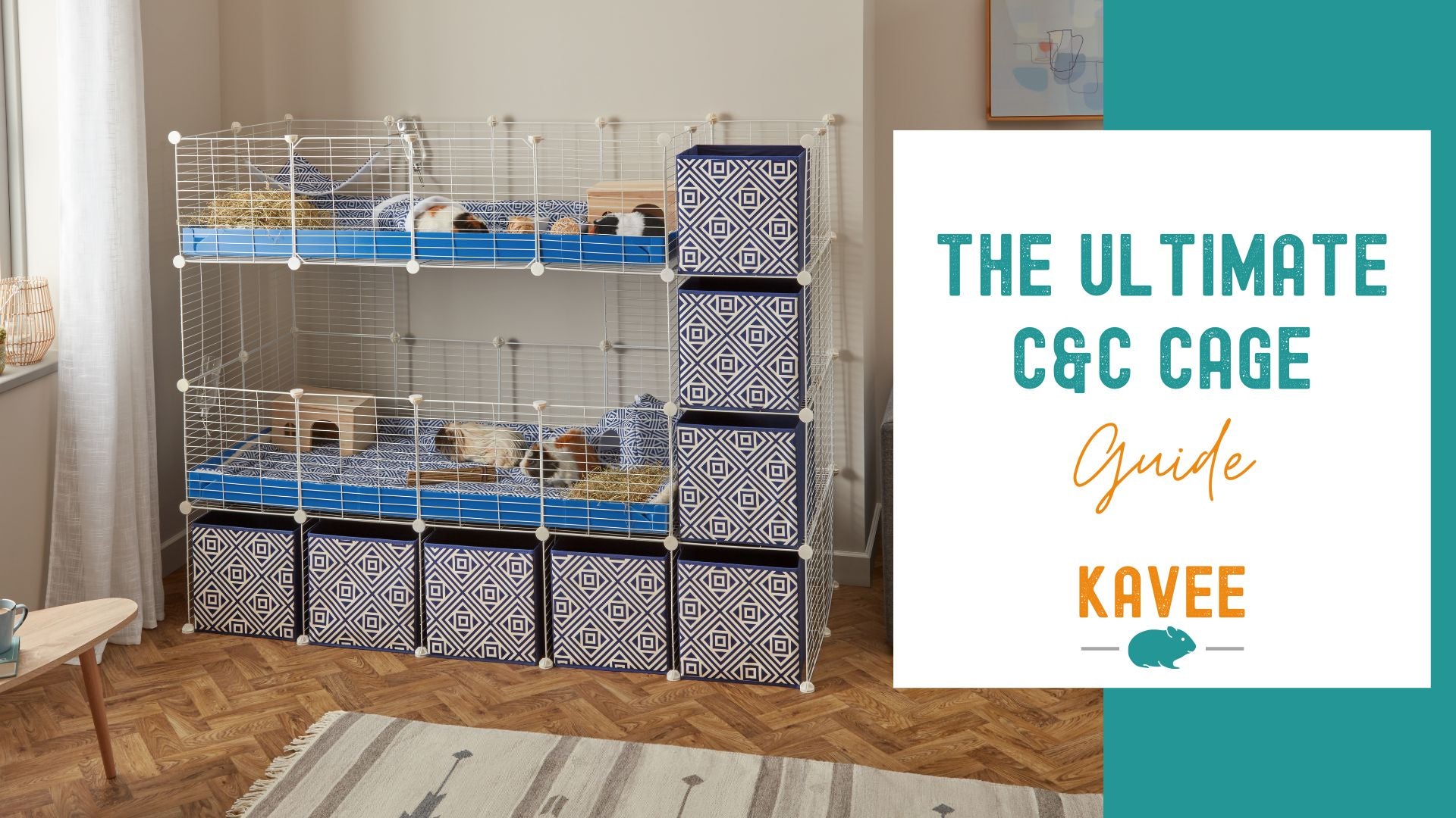 Top 5 C&C Cages to Quarantine Guinea Pigs