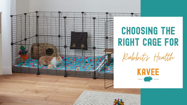Choosing the right cage for your rabbit's health