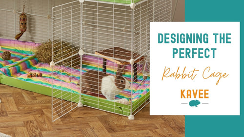 Designing the Perfect Environment Inside Your Rabbit Cage
