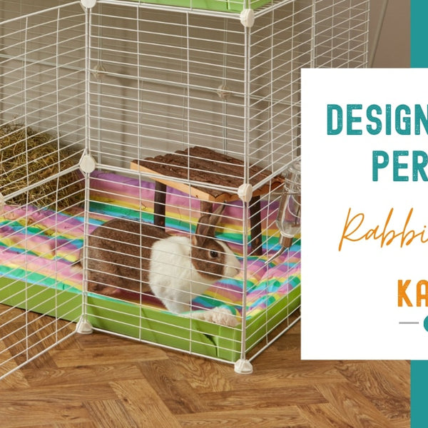 Budget Pet Area Ideas: Creative & Affordable DIY Spaces for Pets