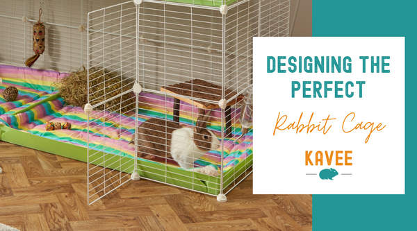 Designing the perfect environment for rabbit cages