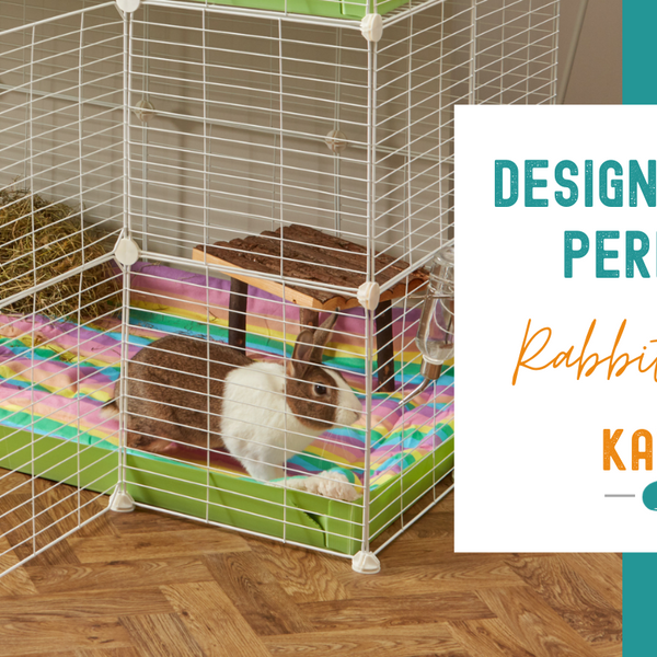 Easy diy rabbit cage budget hotsell