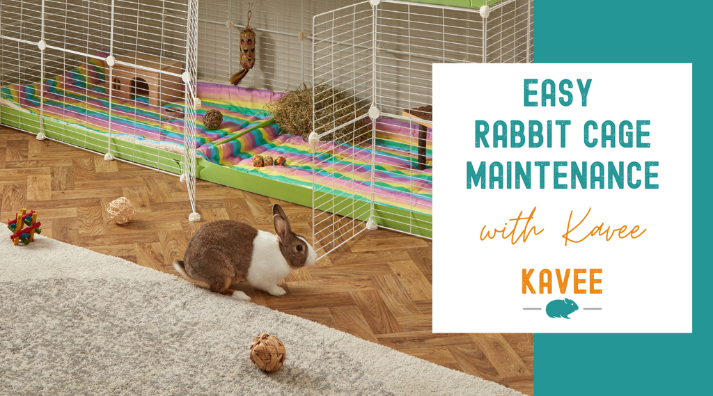 Making Rabbit Cage Maintenance Easier with Kavee Cages