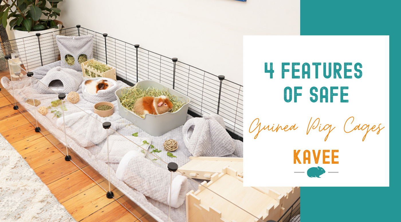 Features of safe C&C cages for guinea pigs