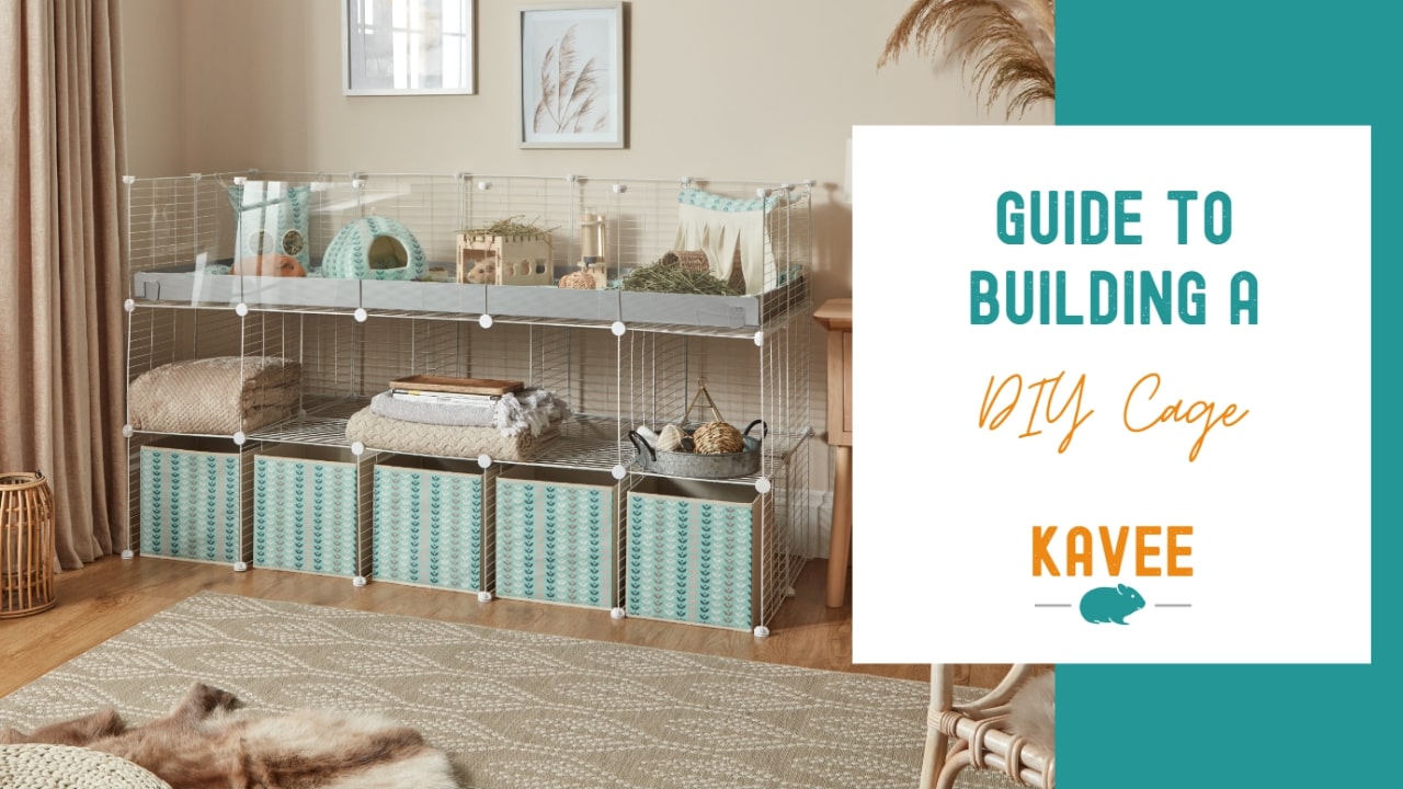 Guide to building a C&C guinea pig cage