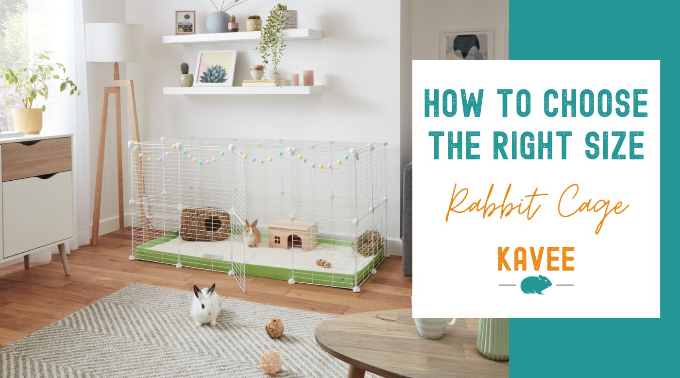 Choosing the Right Size Rabbit Cage: Your Comprehensive Guide