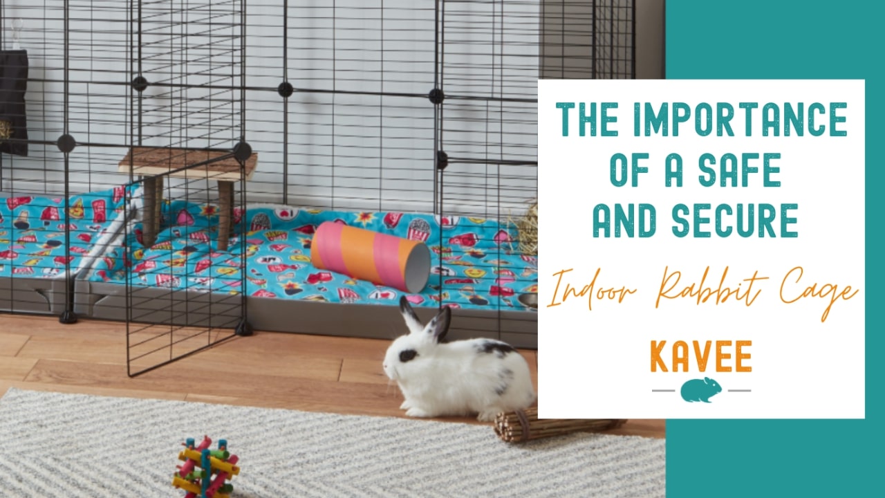 Lovage Rabbit Safe Why a Safe and Secure Indoor Rabbit Cage is Essential