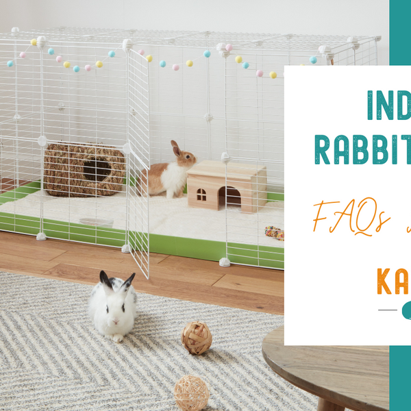 Your Questions Answered FAQs About Indoor Rabbit Cages