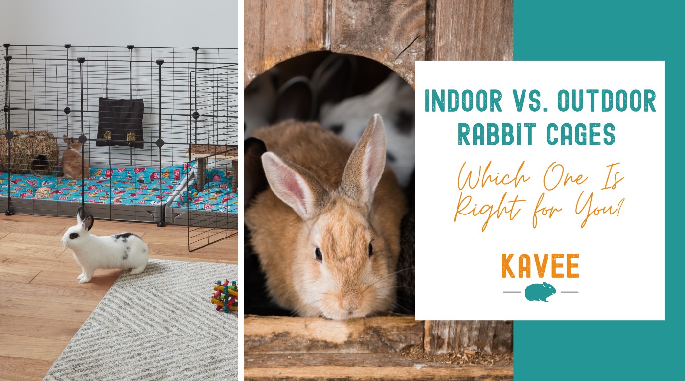 Indoor vs Outdoor Rabbit Cages: Which One Is Right for You?