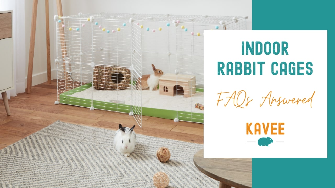 Indoor Rabbit Cages Questions Answered