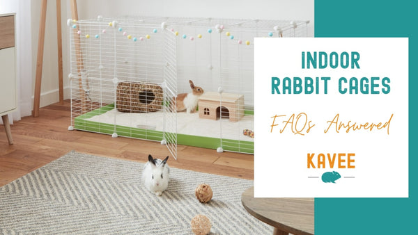 Indoor Rabbit Cages Questions Answered