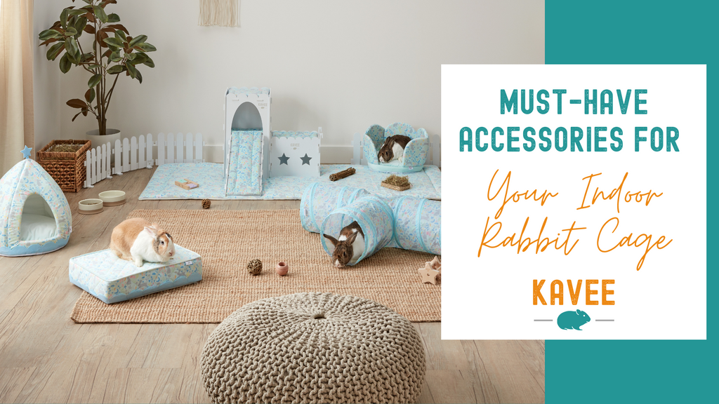 Bunny accessories cheap