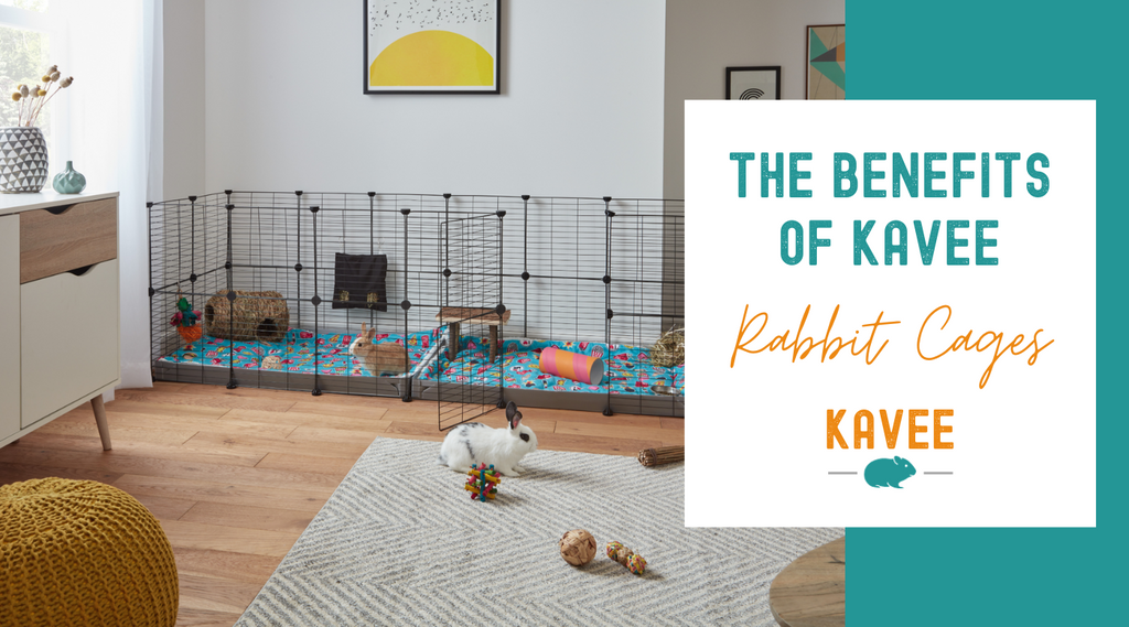 Choosing Kavee Top Reasons to Buy Our Rabbit Cages