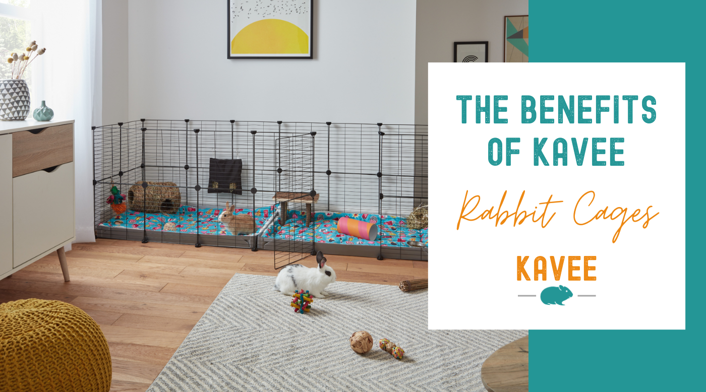 The benefits of Kavee Rabbit Cages