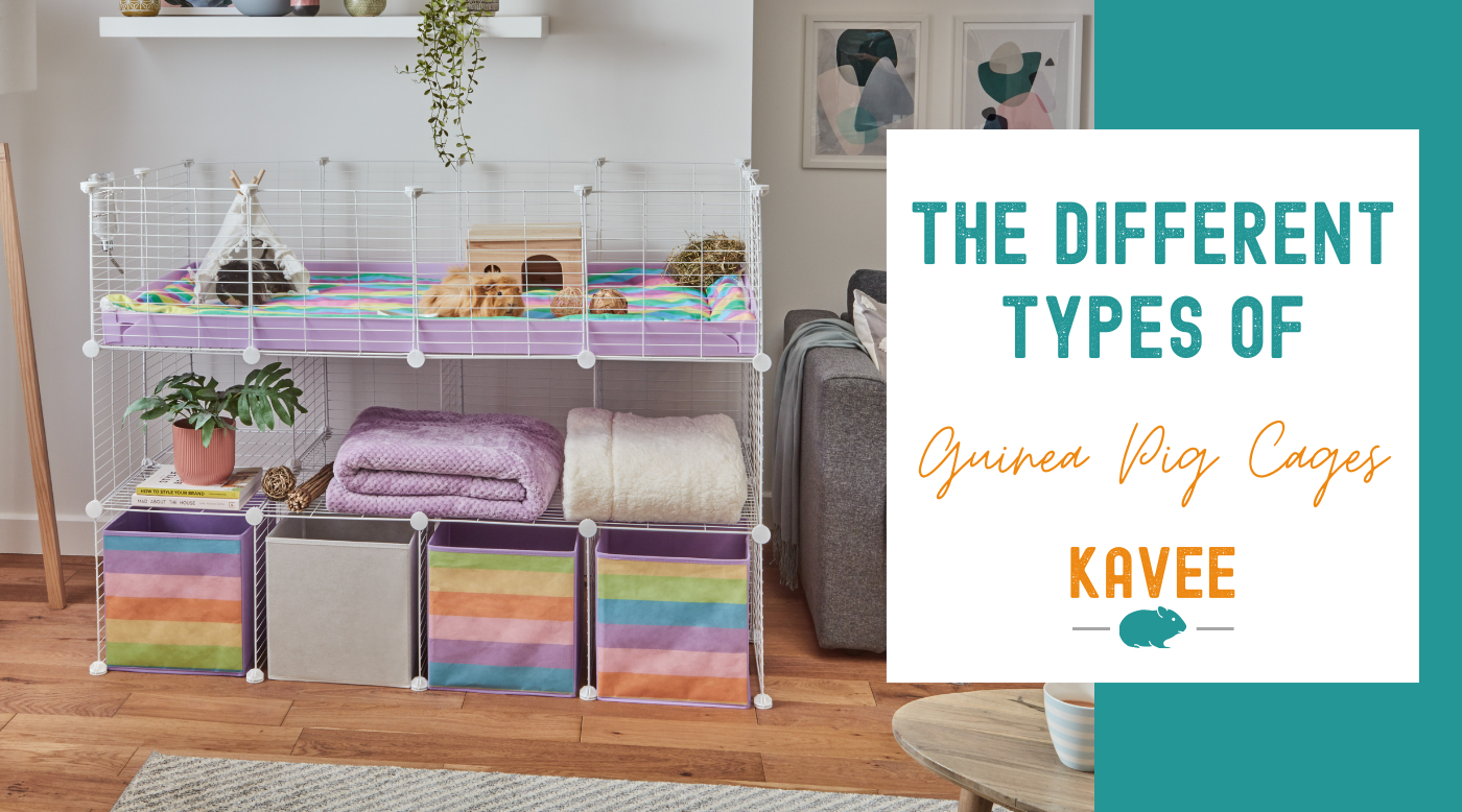 The different types of indoor guinea pig cages