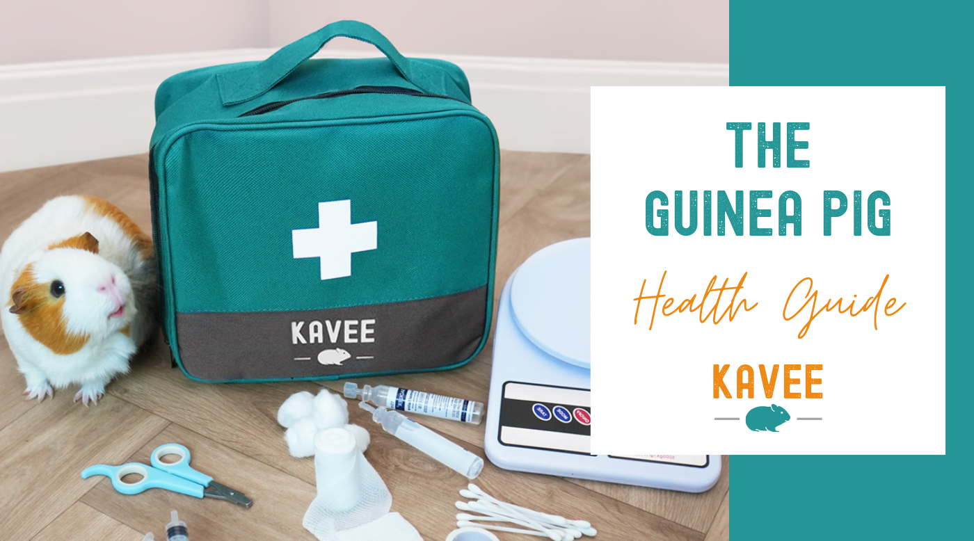 The guinea pig health guide