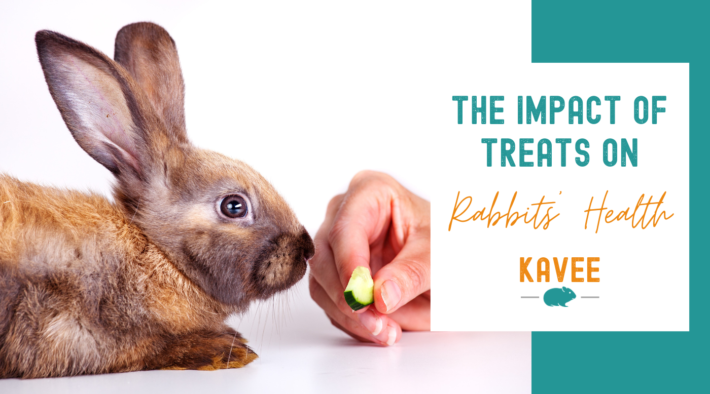 The impact of treats on rabbits' health